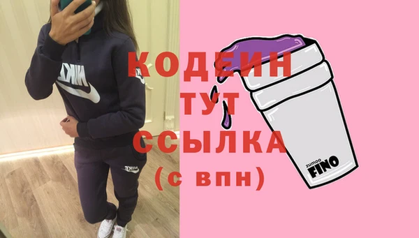 трава Няндома
