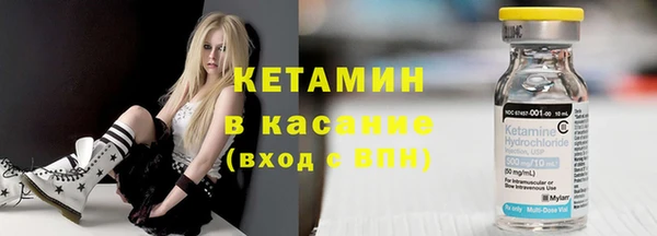 трава Няндома