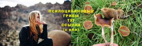 трава Няндома