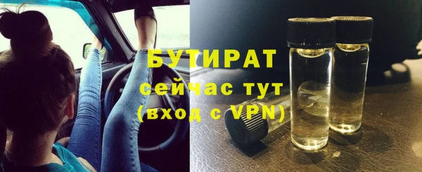 трава Няндома