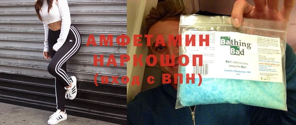 трава Няндома