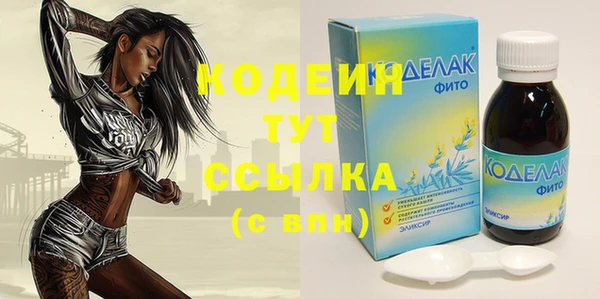 трава Няндома