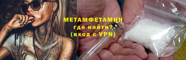 трава Няндома