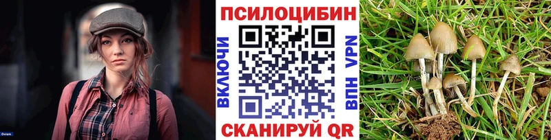 купить наркотик  Усть-Катав  Псилоцибиновые грибы Cubensis 